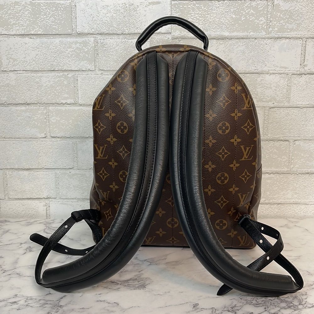 Louis Vuitton Palm Springs MM Monogram Backpack - Picture 4 of 13